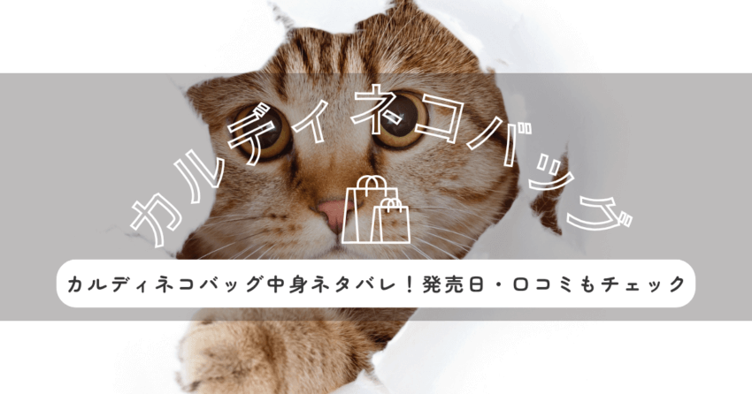 カルディネコバッグ2025年8月の中身ネタバレ！発売日・口コミもチェック